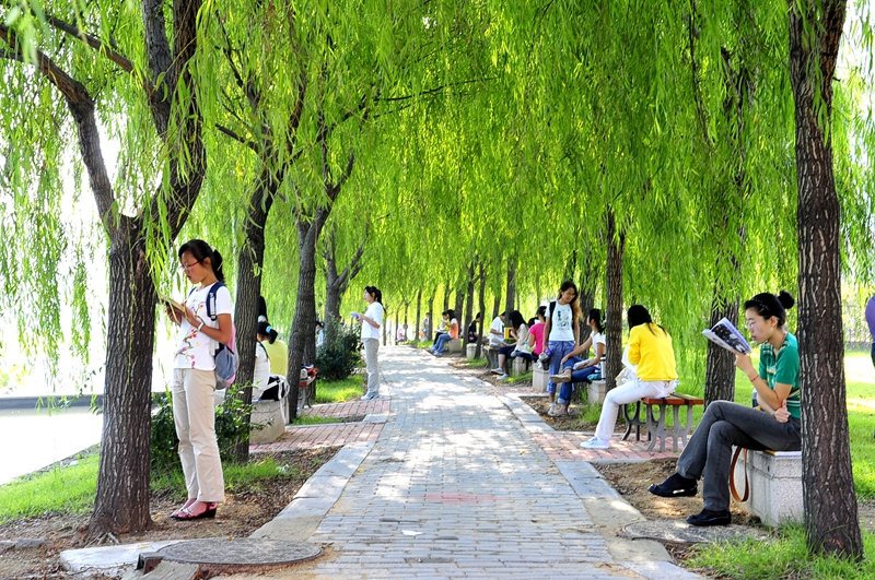 Shandong University Of Science And Technology